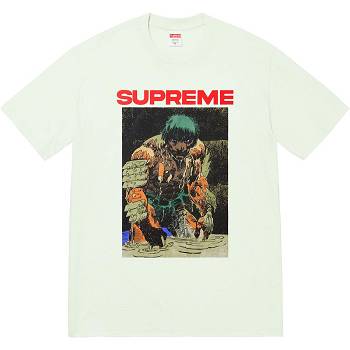 Mint Supreme Ronin Tee T Shirts | Supreme 393JJ